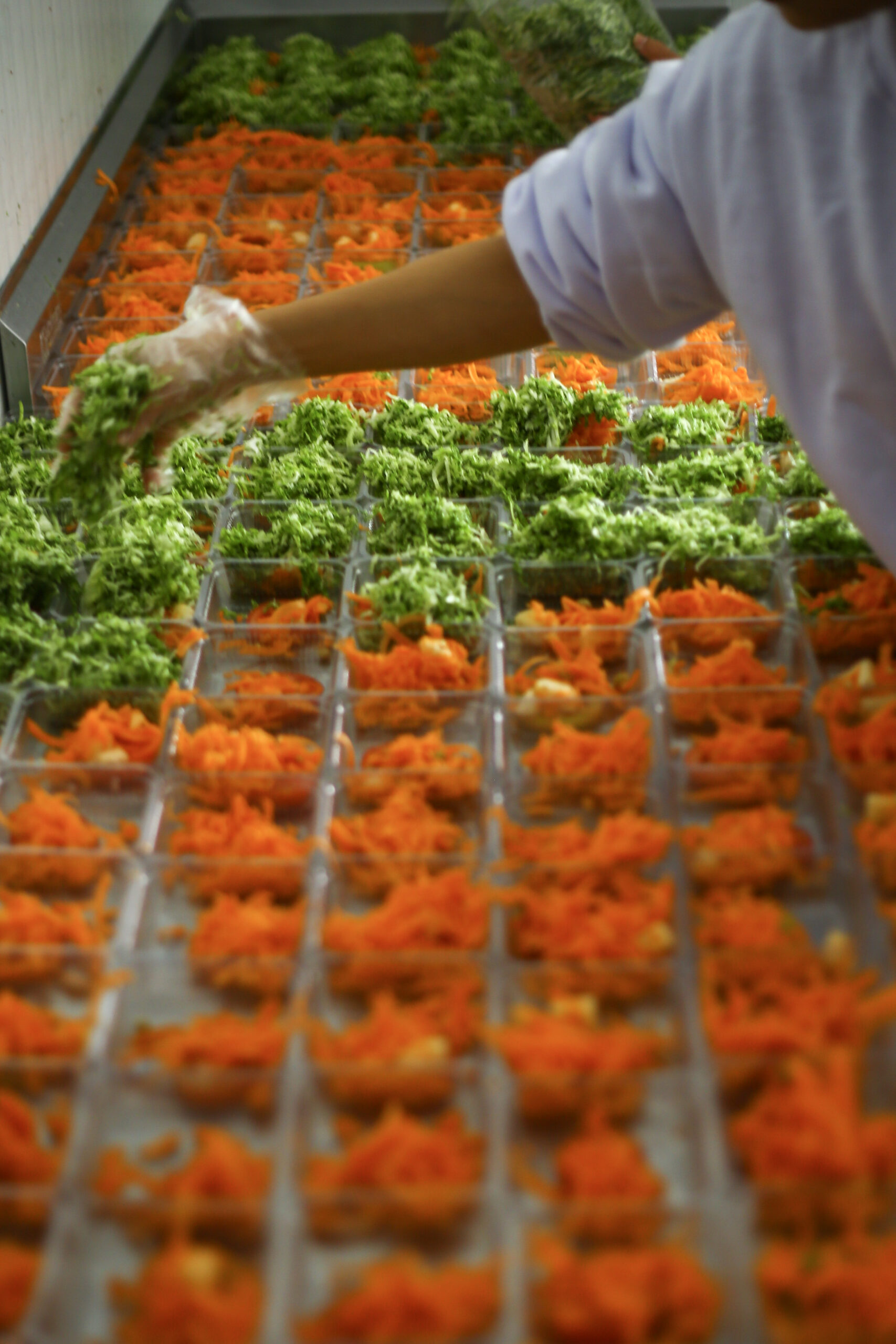 Quem somos 3 Alimentação Transportada